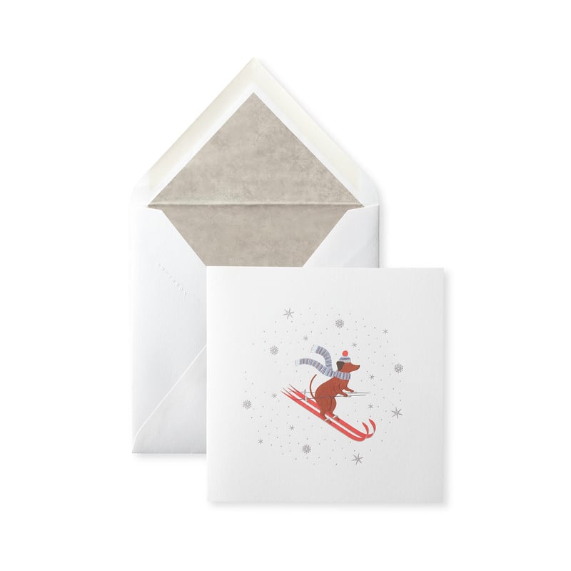 Christmas Dog Skiing Card Set